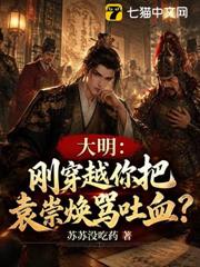 大明：刚穿越你把袁崇焕骂吐血？
